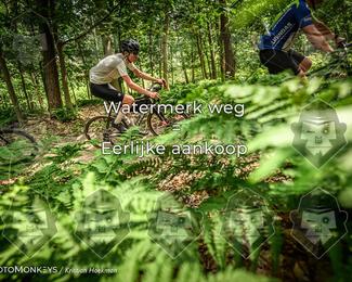 Bartje 200 photo