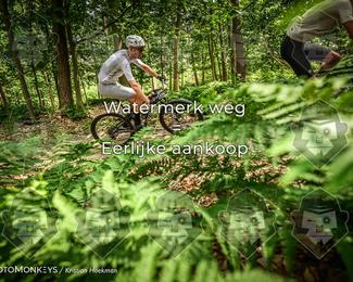 Bartje 200 photo