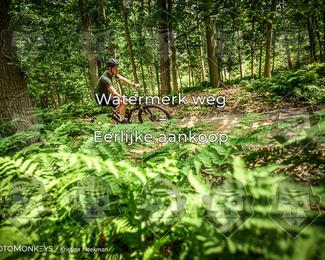 Bartje 200 photo