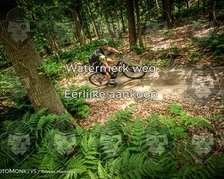 Bartje 200 photo