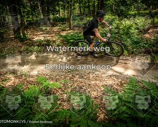 Bartje 200 photo