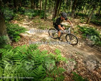 Bartje 200 photo