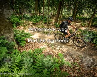 Bartje 200 photo