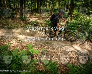 Bartje 200 photo