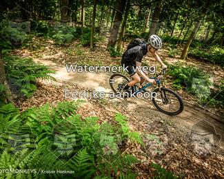 Bartje 200 photo