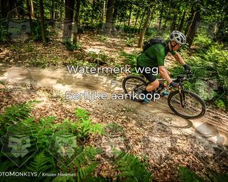 Bartje 200 photo