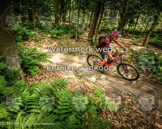 Bartje 200 photo