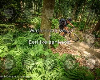 Bartje 200 photo