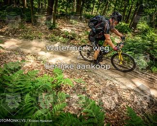 Bartje 200 photo
