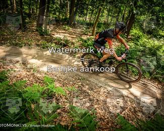 Bartje 200 photo