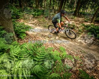 Bartje 200 photo
