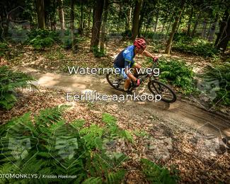 Bartje 200 photo