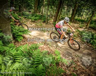 Bartje 200 photo