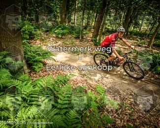 Bartje 200 photo