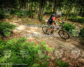 Bartje 200 photo