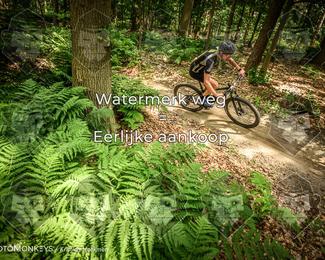 Bartje 200 photo