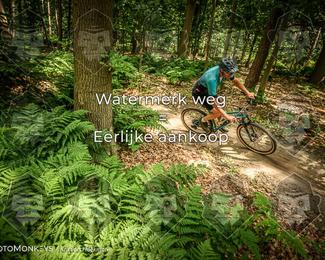 Bartje 200 photo