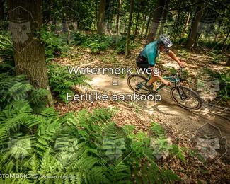 Bartje 200 photo