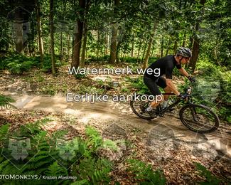 Bartje 200 photo