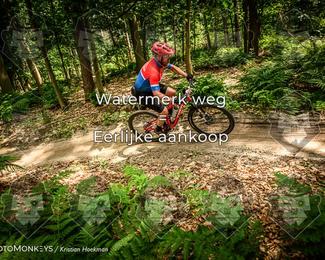 Bartje 200 photo