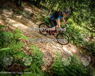 Bartje 200 photo