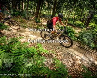 Bartje 200 photo