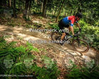 Bartje 200 photo