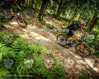 Bartje 200 photo