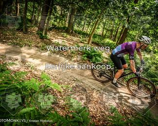Bartje 200 photo