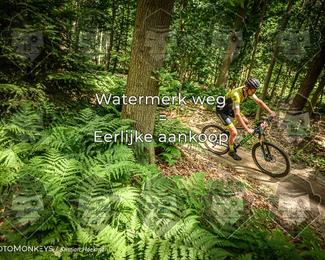 Bartje 200 photo