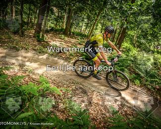 Bartje 200 photo