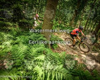 Bartje 200 photo
