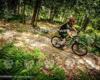 Bartje 200 photo