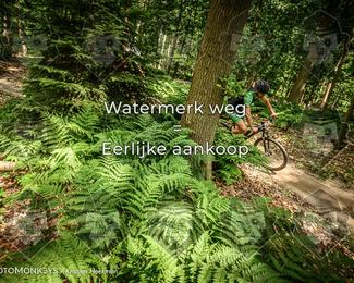 Bartje 200 photo