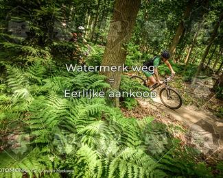 Bartje 200 photo