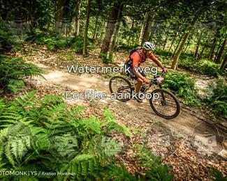 Bartje 200 photo