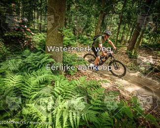 Bartje 200 photo