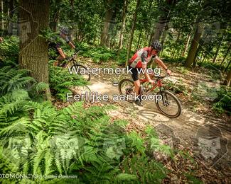 Bartje 200 photo