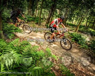 Bartje 200 photo