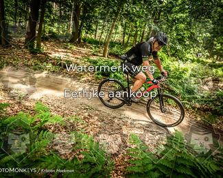 Bartje 200 photo