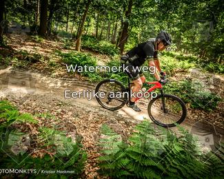 Bartje 200 photo