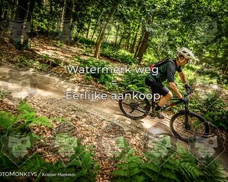 Bartje 200 photo