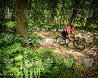 Bartje 200 photo