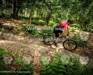 Bartje 200 photo