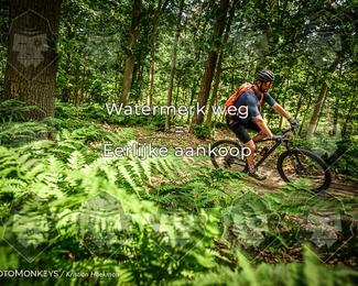 Bartje 200 photo