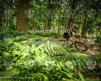 Bartje 200 photo