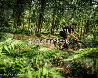 Bartje 200 photo
