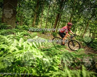 Bartje 200 photo