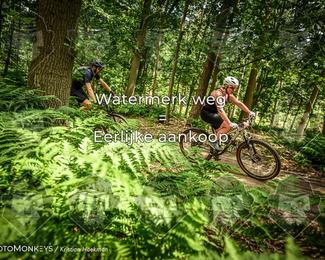 Bartje 200 photo