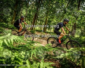 Bartje 200 photo
